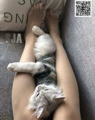爱世梦罗