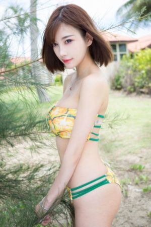 少林达摩剑