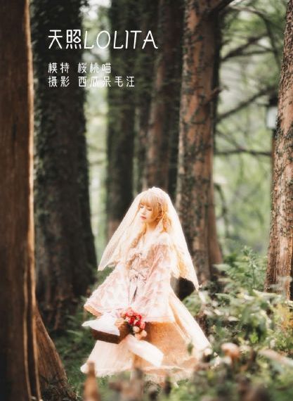 五十公里桃花坞3 综艺